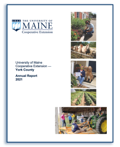 cover image of the 2021 York County Annual Report