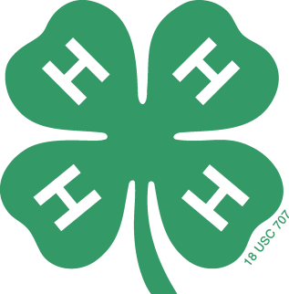 Green Four Leaf Clover with 4 White H's